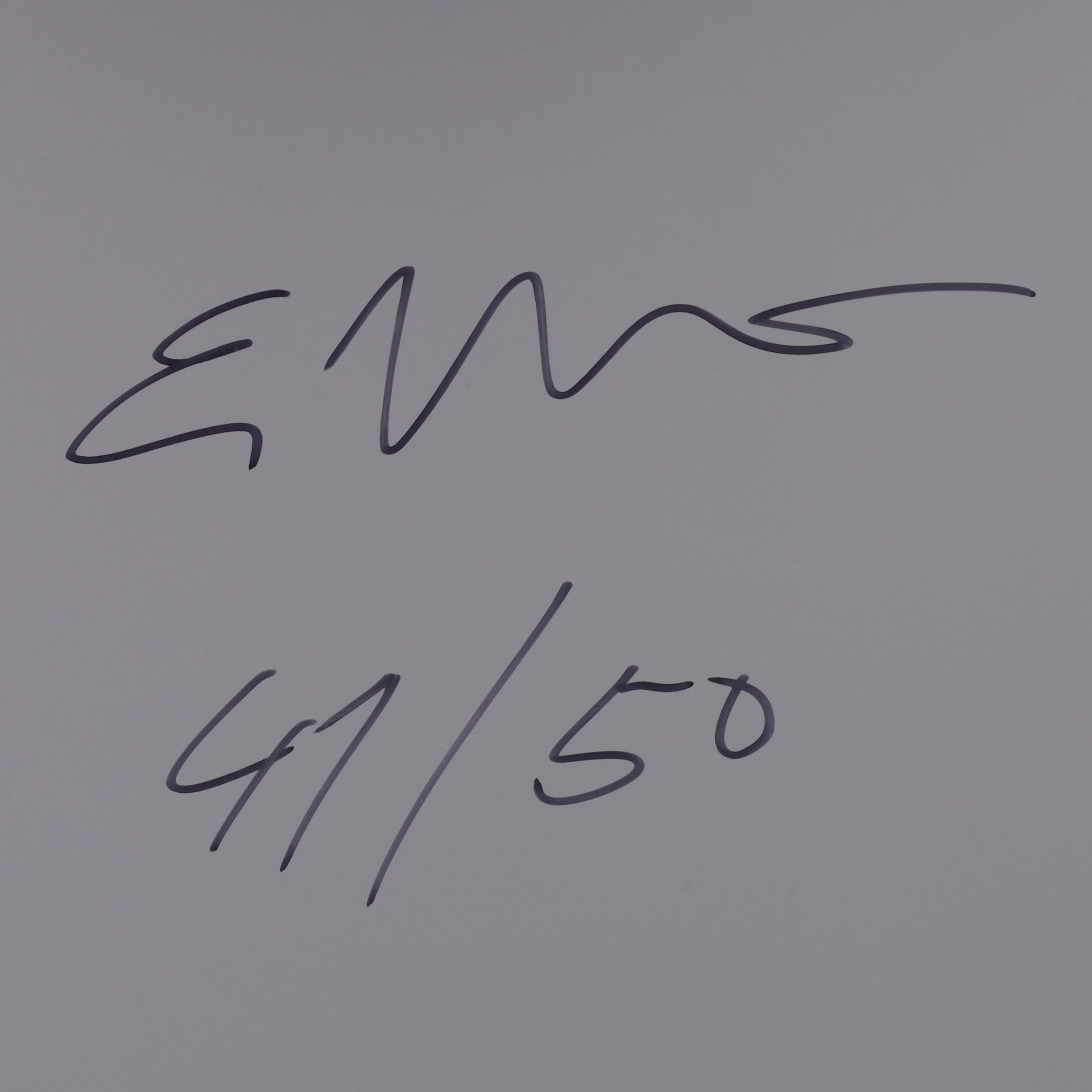 4 Erwin Wurm LITO Hi-Rnd Prints For Sale 18