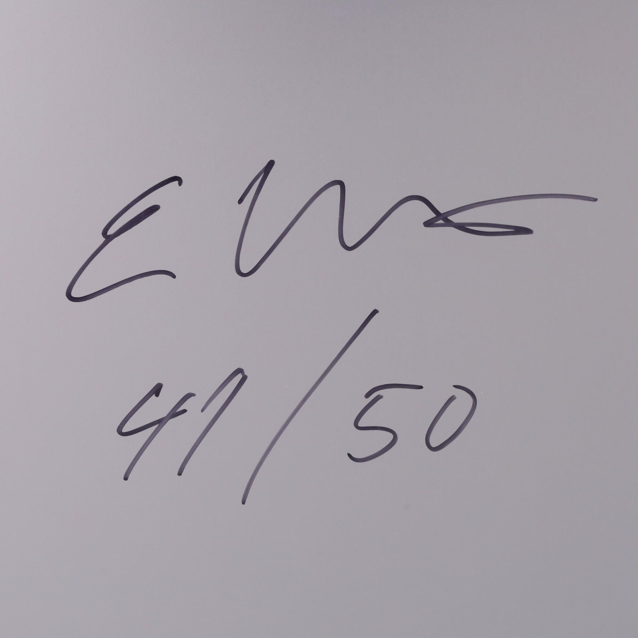 4 Erwin Wurm LITO Hi-Rnd Prints For Sale 19