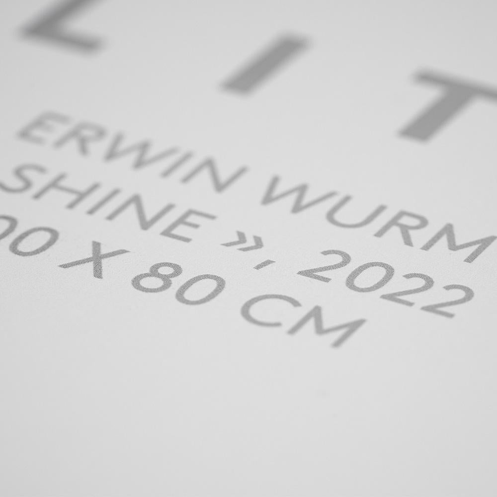 Shine, by Erwin Wurm, 2023, Flat Sculptures, Limited Editions on canvas For Sale 5