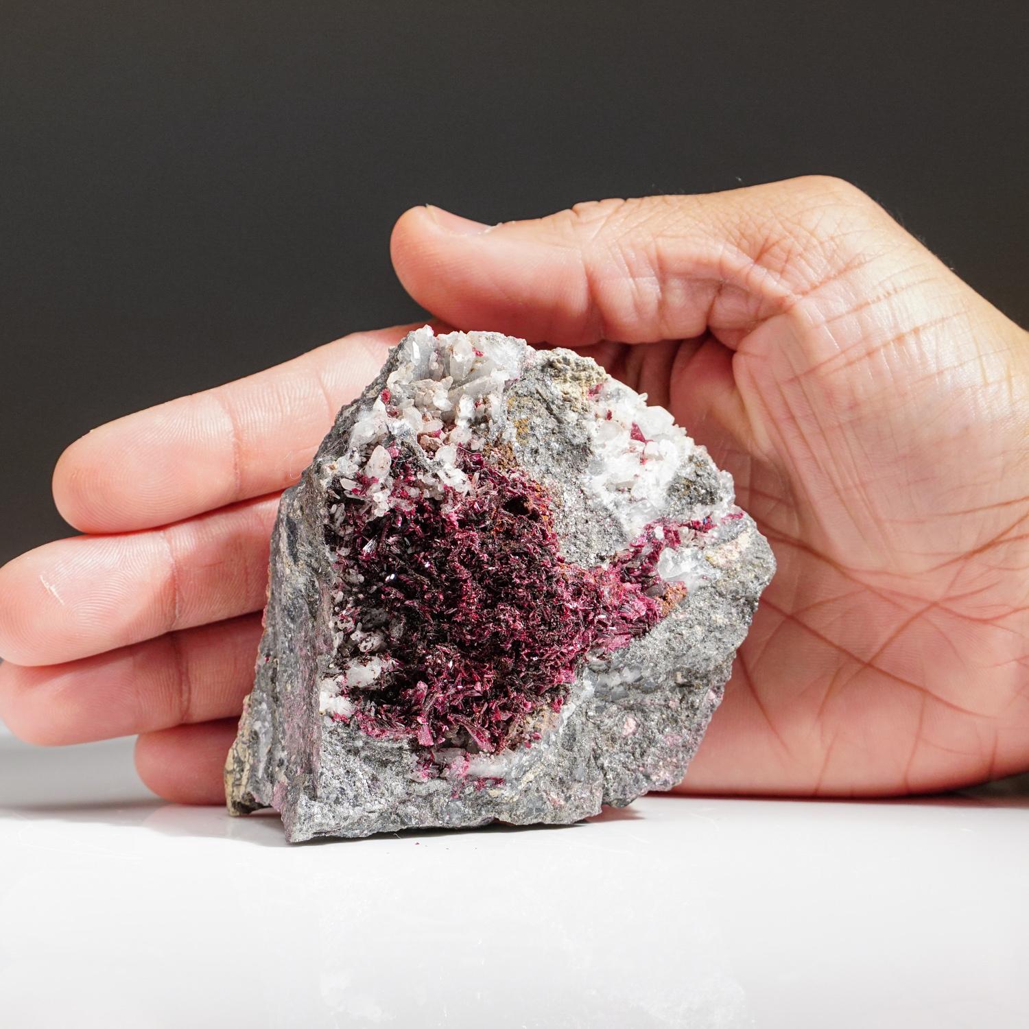 From Bou Azer District, Tazenakht, Ouarzazate Province, Souss-Massa-Draâ Region, MoroccoLustrous specimen with several cavities lined with intersecting translucent deep violet purple erythrite crystals. Beautiful color contrast with rich purple