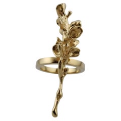 Escapo Ring in 24K Gold-Plated Bronze by xMartaja