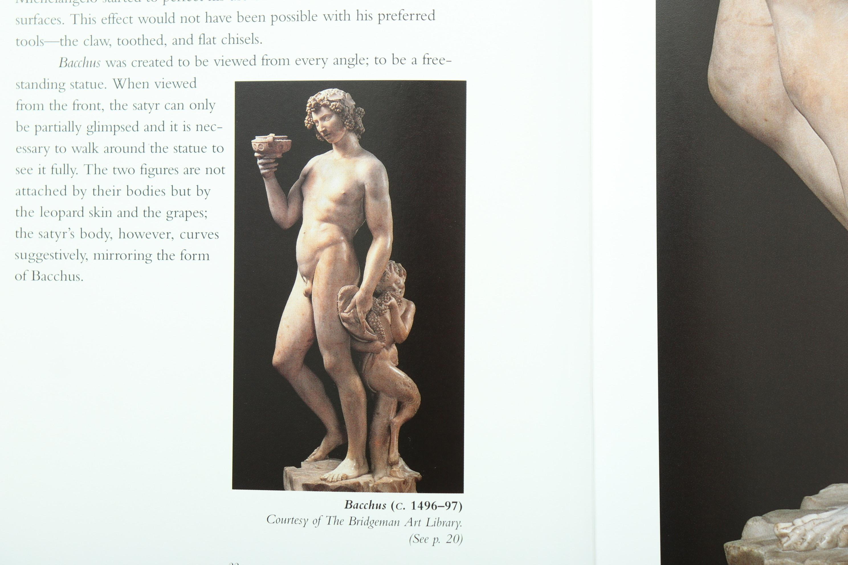 Essential Michelangelo by Kirsten Bradbury In Good Condition For Sale In Bradenton, FL