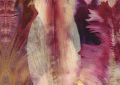 EST1966 Dutch Tulips DT4