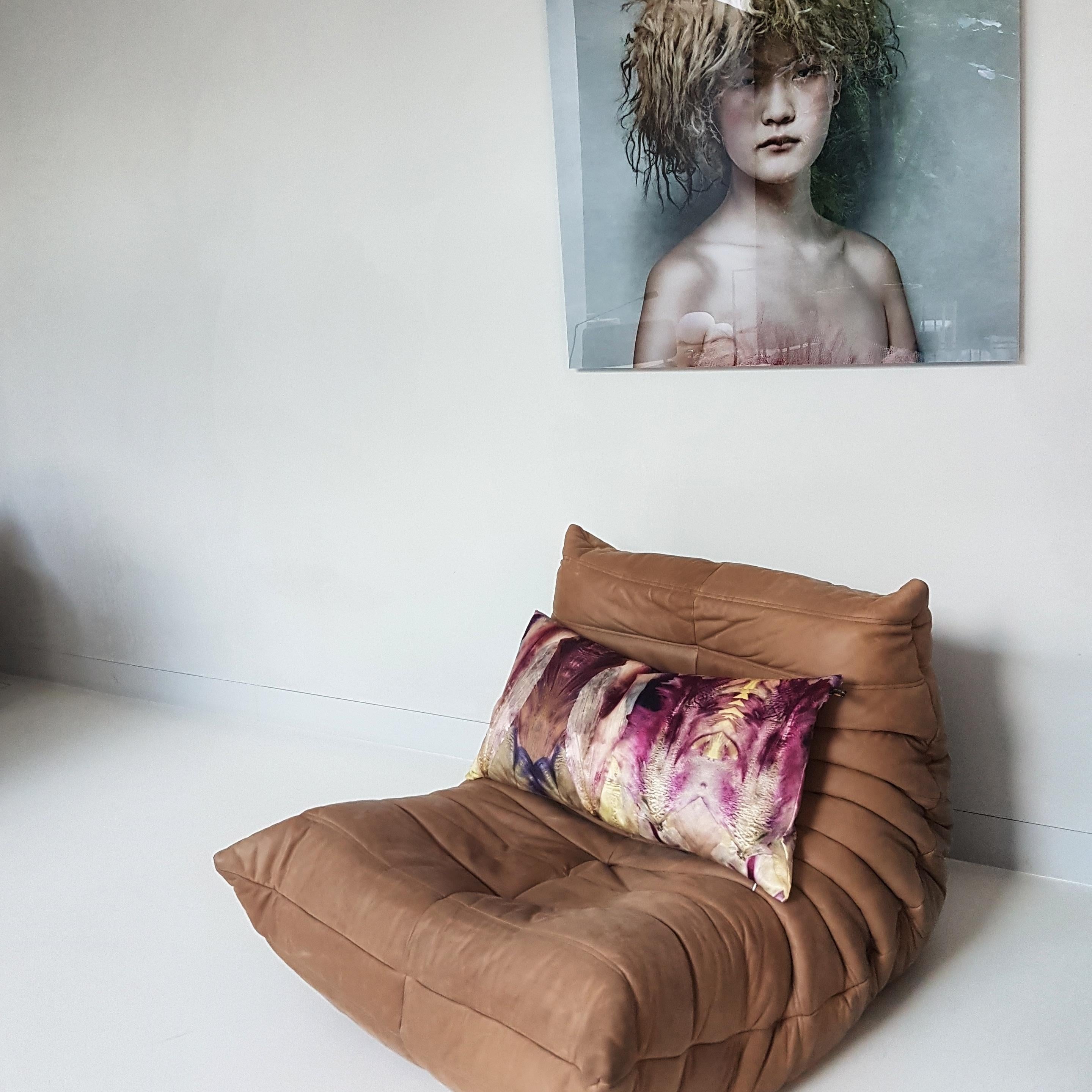 EST1966 Tulipani olandesi DT4 In condizioni Nuovo in vendita a AMSTERDAM, NL