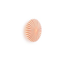 Lámpara grande de pared y techo «FILIGRANA» de Established & Sons, diseñada por Sebastian Wrong