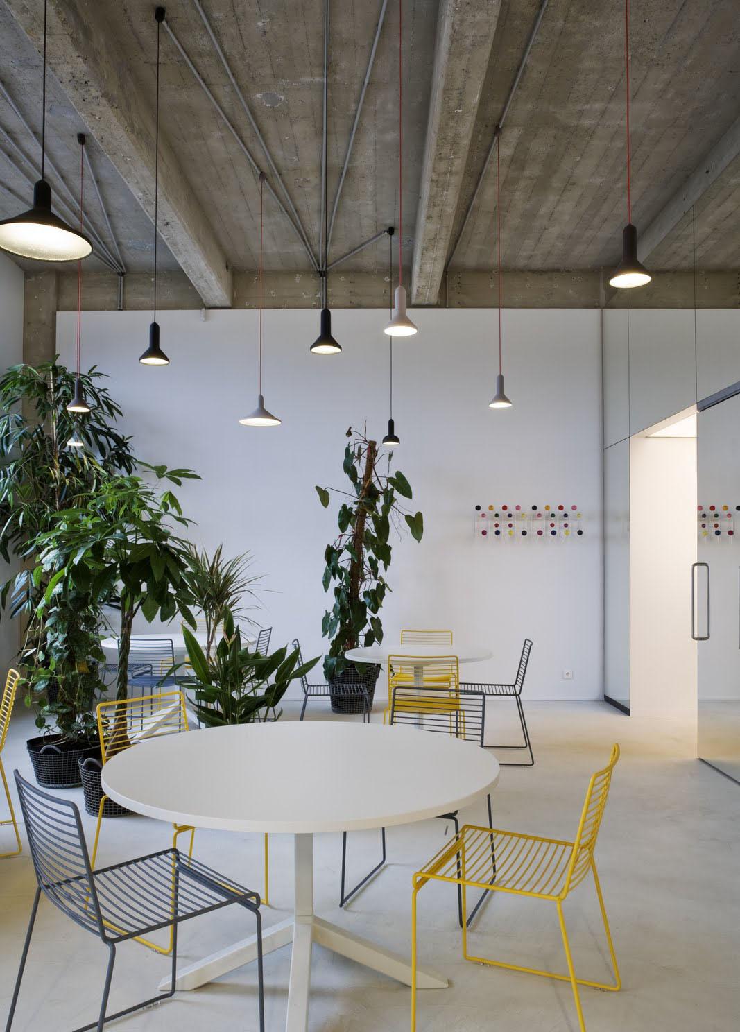 Established & Sons S3 Cono Torch Pendant Light di Sylvain Willenz in vendita 2