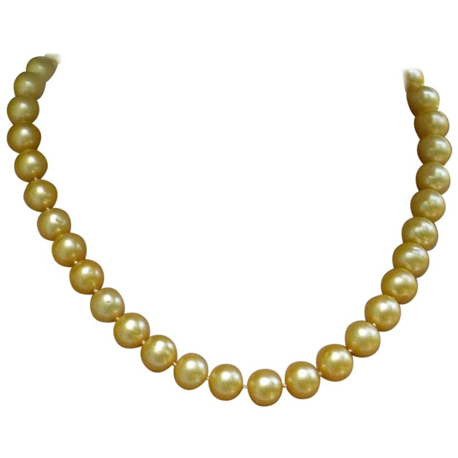 Estate Golden South Sea Cultured Pearl Necklace