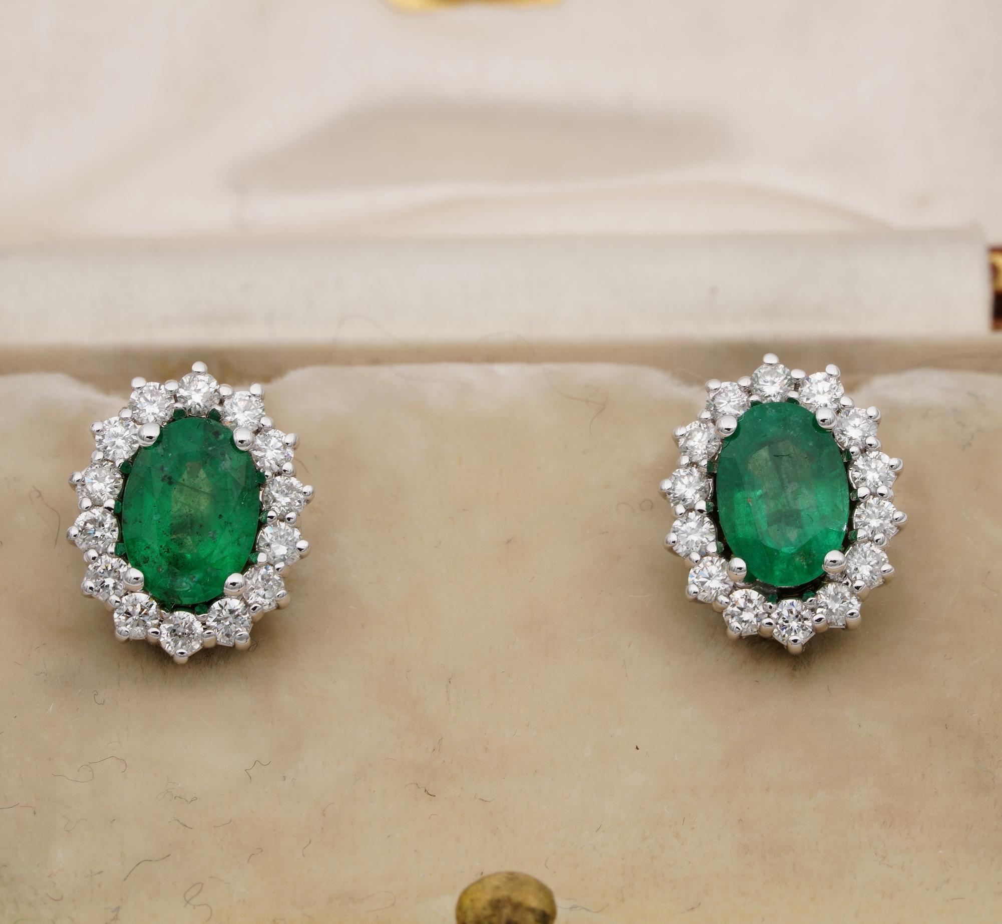 Gorgeous vintage pair of natural Emerald and Diamond earrings in a classy cluster 1970 ca
Hand crafted of solid 18 Kt white gold – tested
Oval shaped set with two natural rich green Emeralds 1.40 Ct with a surround of sparkly round brilliant cut