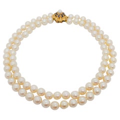 Estate Akoya Pearl Choker with Sapphire Clasp in 14k Yellow Gold
