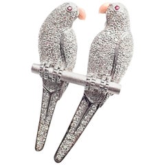 Pendentif en or blanc avec diamant:: rubis et corail - Deux oiseaux amoureux - Perroquet Broche