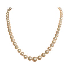 Beaded Necklaces