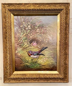 Estate Pair of Framed Bird Paintings auf Porzellan, CIRCA 1930's-1950's.