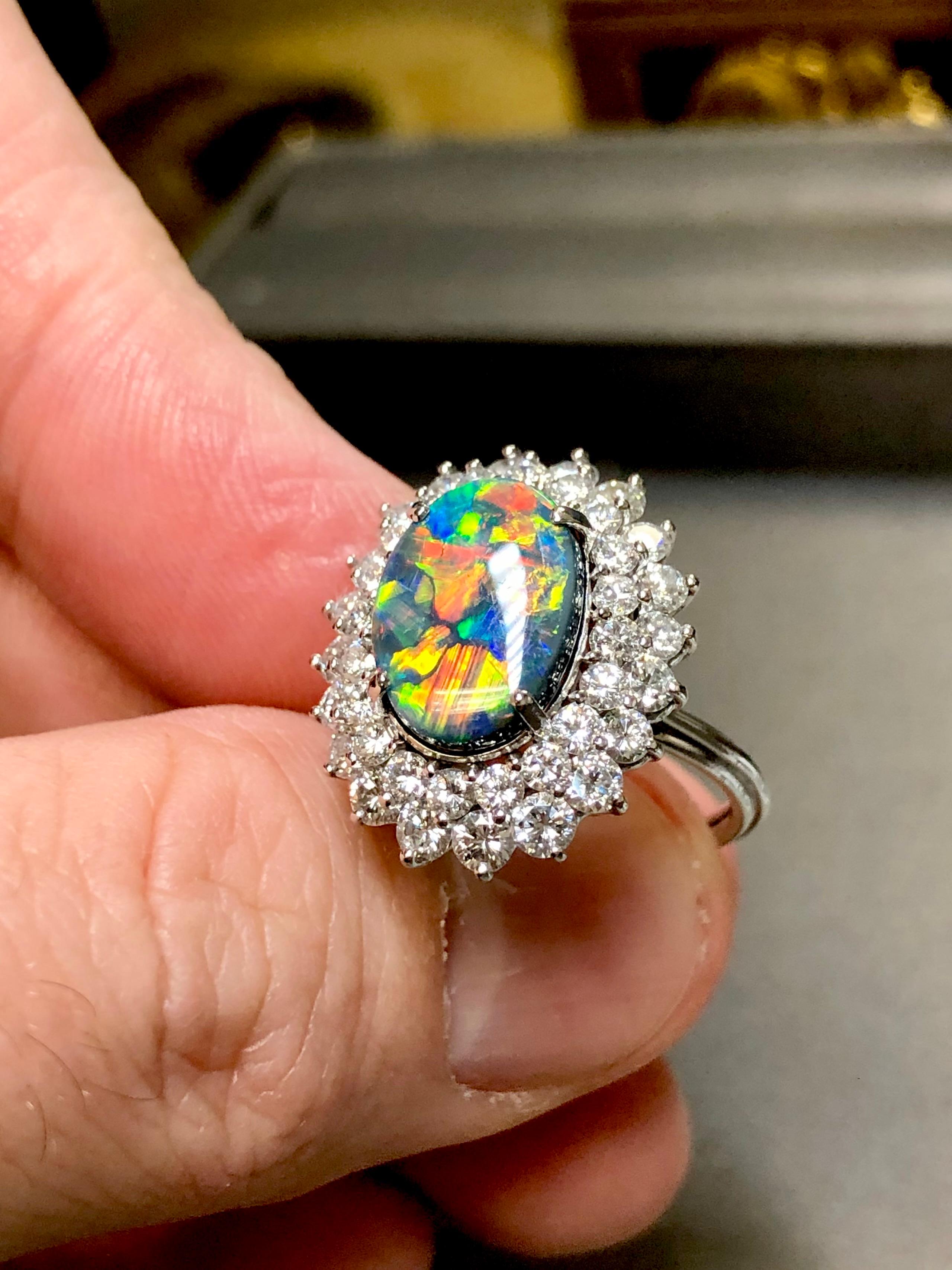 
By far not only the most impressive harlequin black opal we have ever owned, but also that we have ever seen. It possesses the best play of color with the most reds and oranges and in the largest patches without any blank spots in the material. We