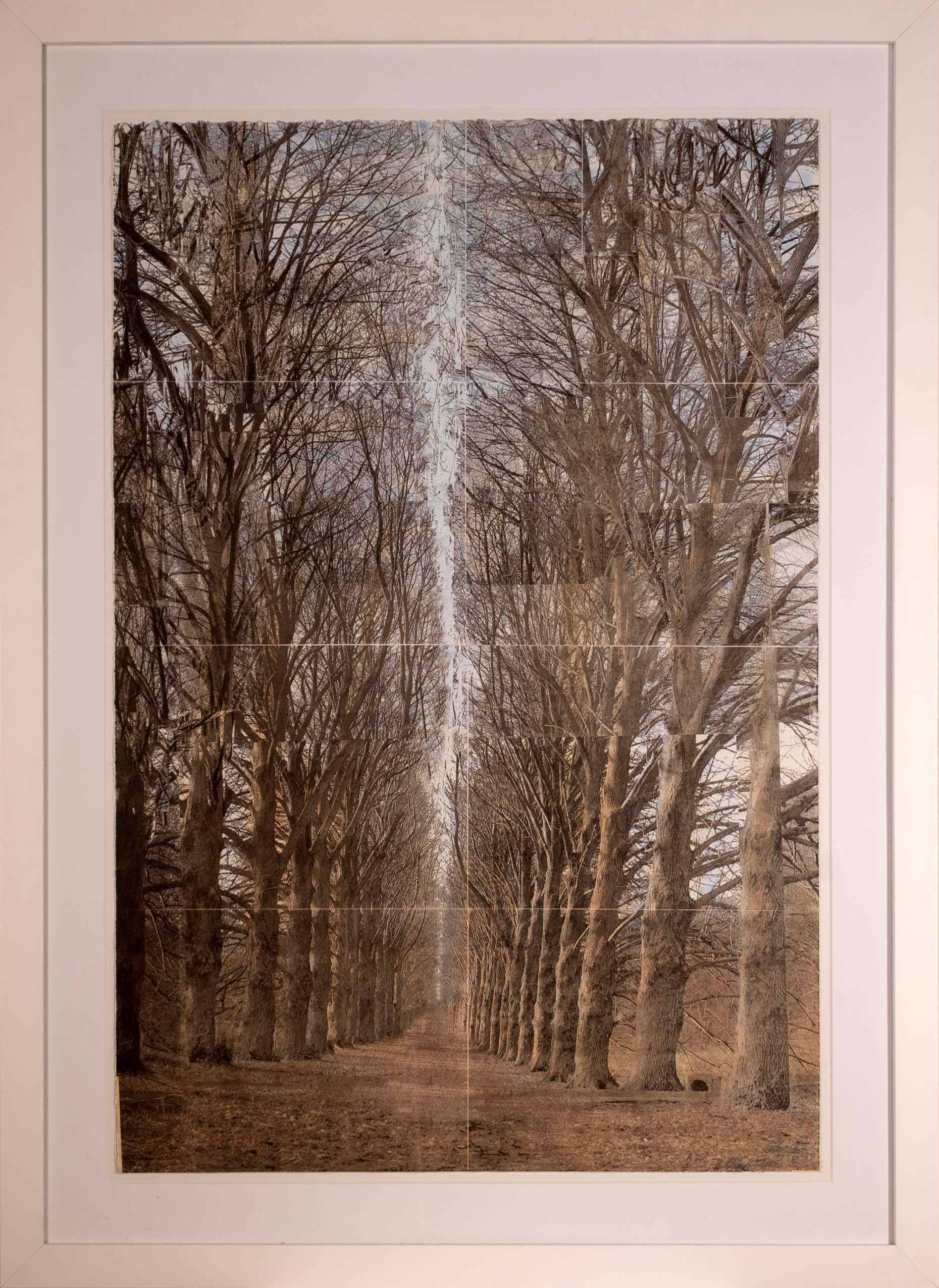 An artistic yet tranquil hand colored lithograph on paper titled “Allee (Alley of Trees)” by New York artist Esteban Chavez. Hand signed in pencil on the bottom right, with an A.P. annotation. Printed in 2005. Original gallery tag from Artspace from