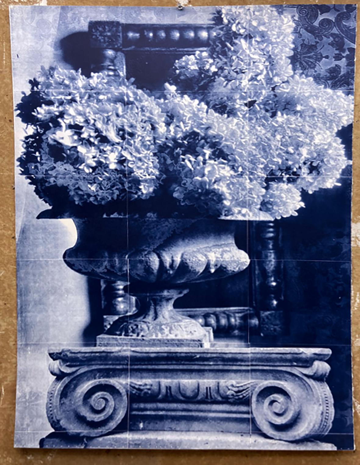 Hydrangea bleue, lithographie surdimensionnée, éléments architecturaux classiques