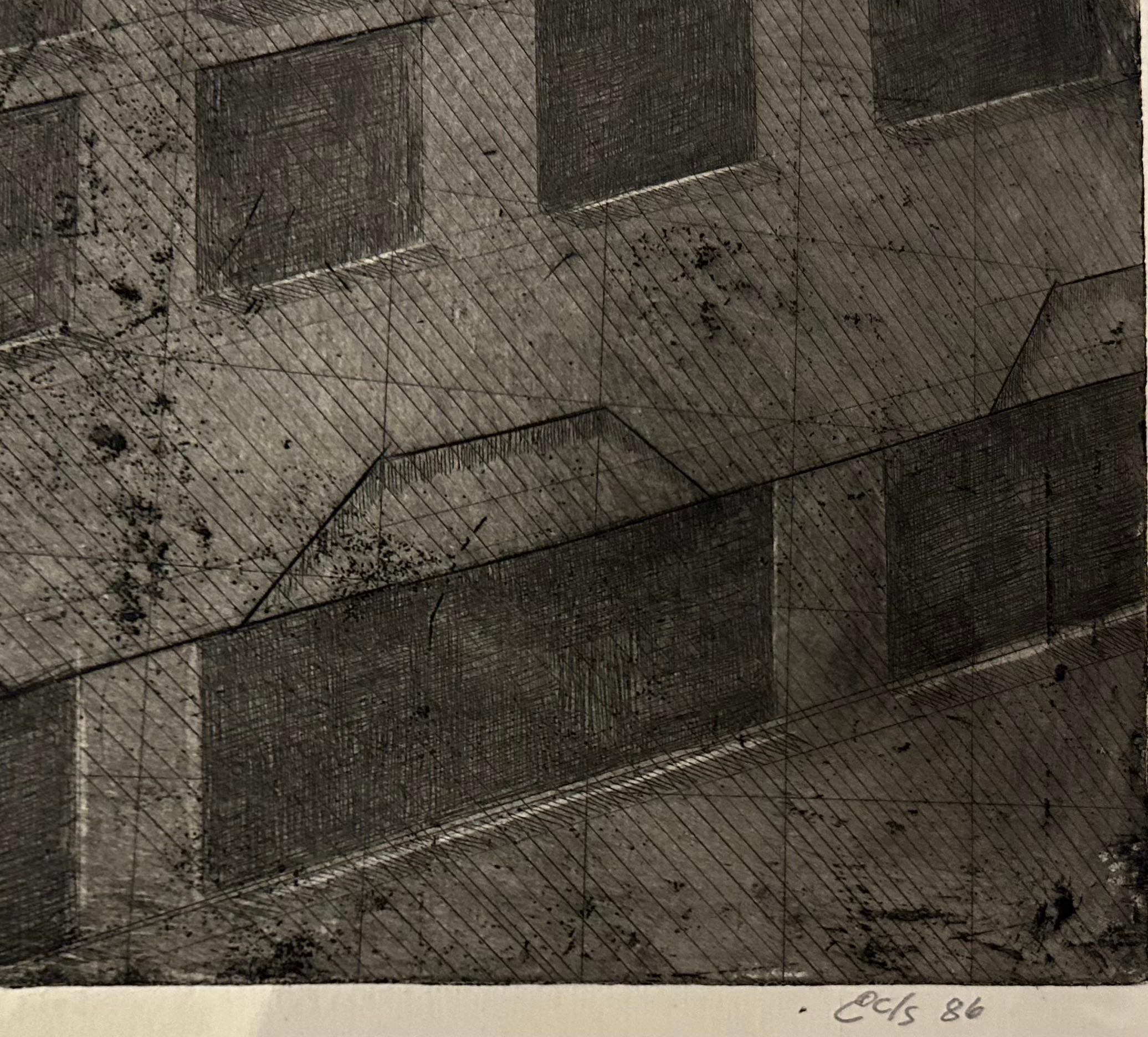 The Weeping Condo, bâtiment urbain sombre et monochrome avec une grille dans le design. - Print de Esteban Chavez