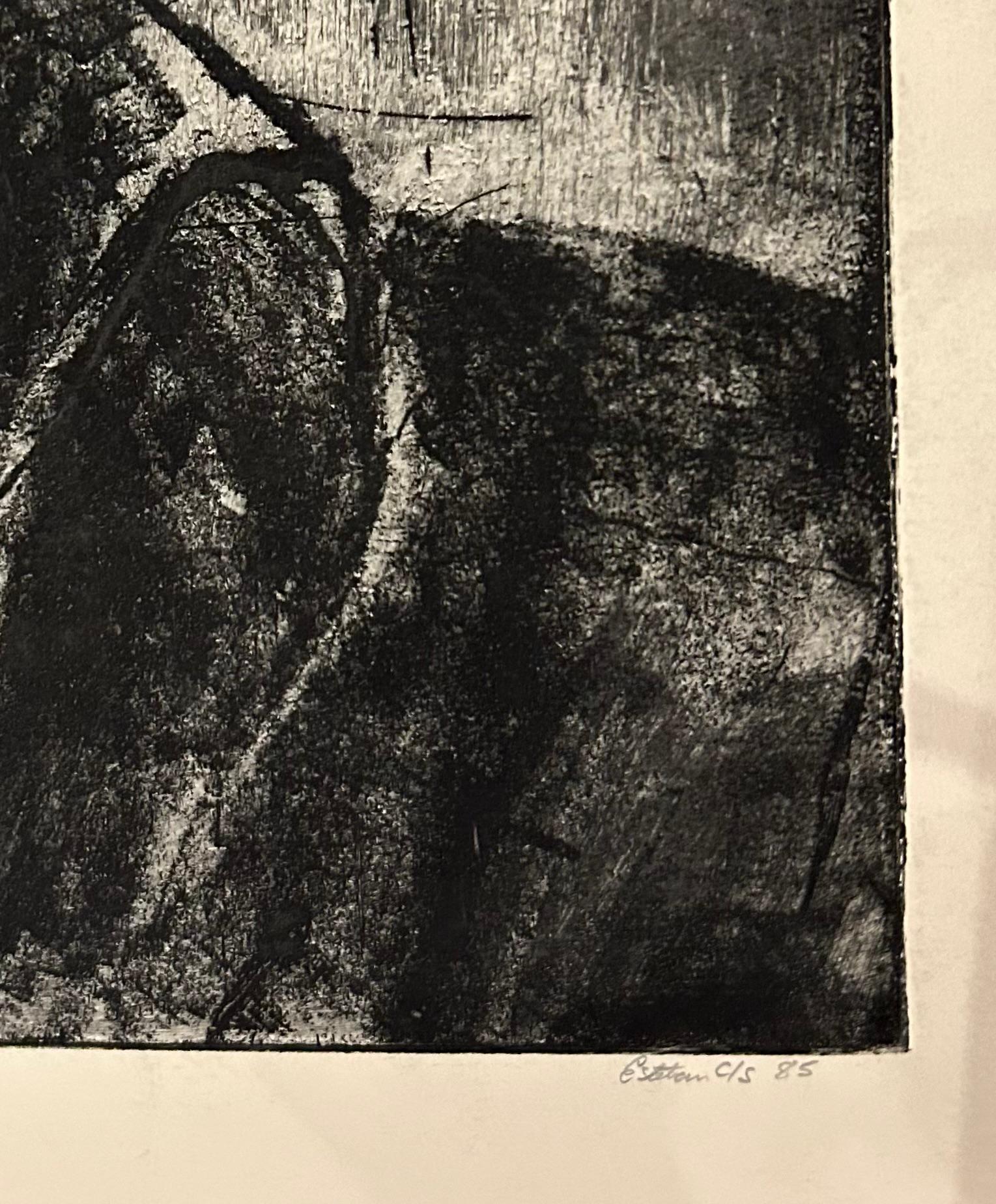 Senza titolo, Volto - Print di Esteban Chavez