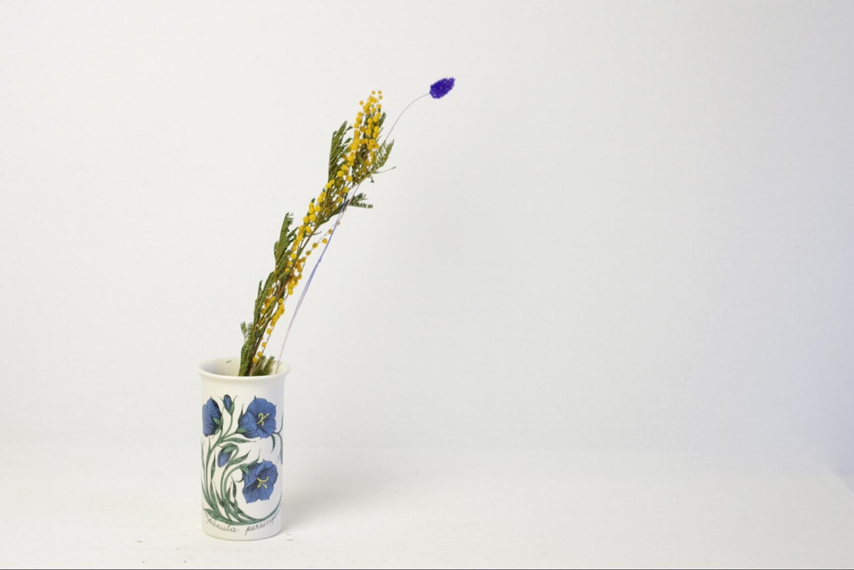 Product Description: 
The Botanica-series of which this vase is a member was designed by Esteri Tomula for Arabia. Esteri Tomula used the flora of Finland as inspiration for the painting made on her simple but dutiful vases and plates. The flower