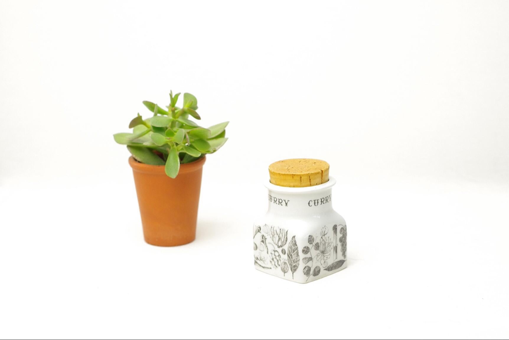 Product Description:
We have on offer this curry spice pot. At first glance, I was fascinated by the cuteness of these spice pots of this serie, but when I looked closely the design appeared to be very delicate as well. Lining up all the spice pots