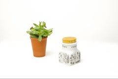 Esteri Tomula, Especiero 'Curry', Arabia