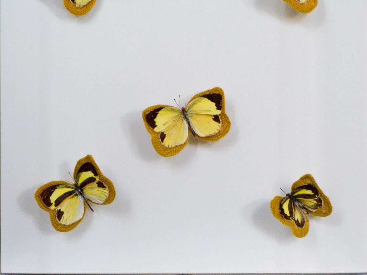 Flight- yellow and black butterflies embroidered with yellow thread For Sale 1