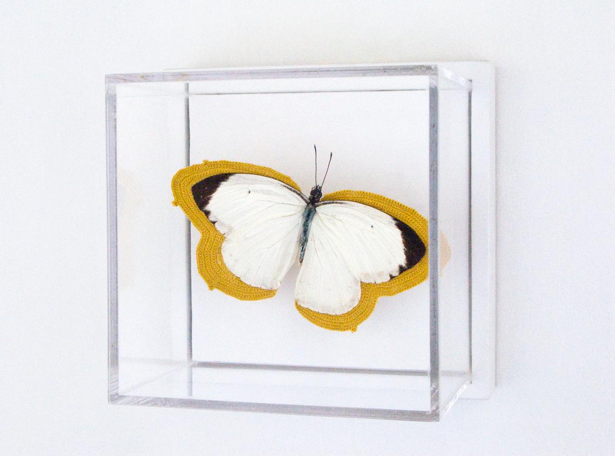 Pale - weißer und schwarzer Schmetterling, bestickt mit gelbem Faden aus Plexiglas (Zeitgenössisch), Mixed Media Art, von Esther Traugot