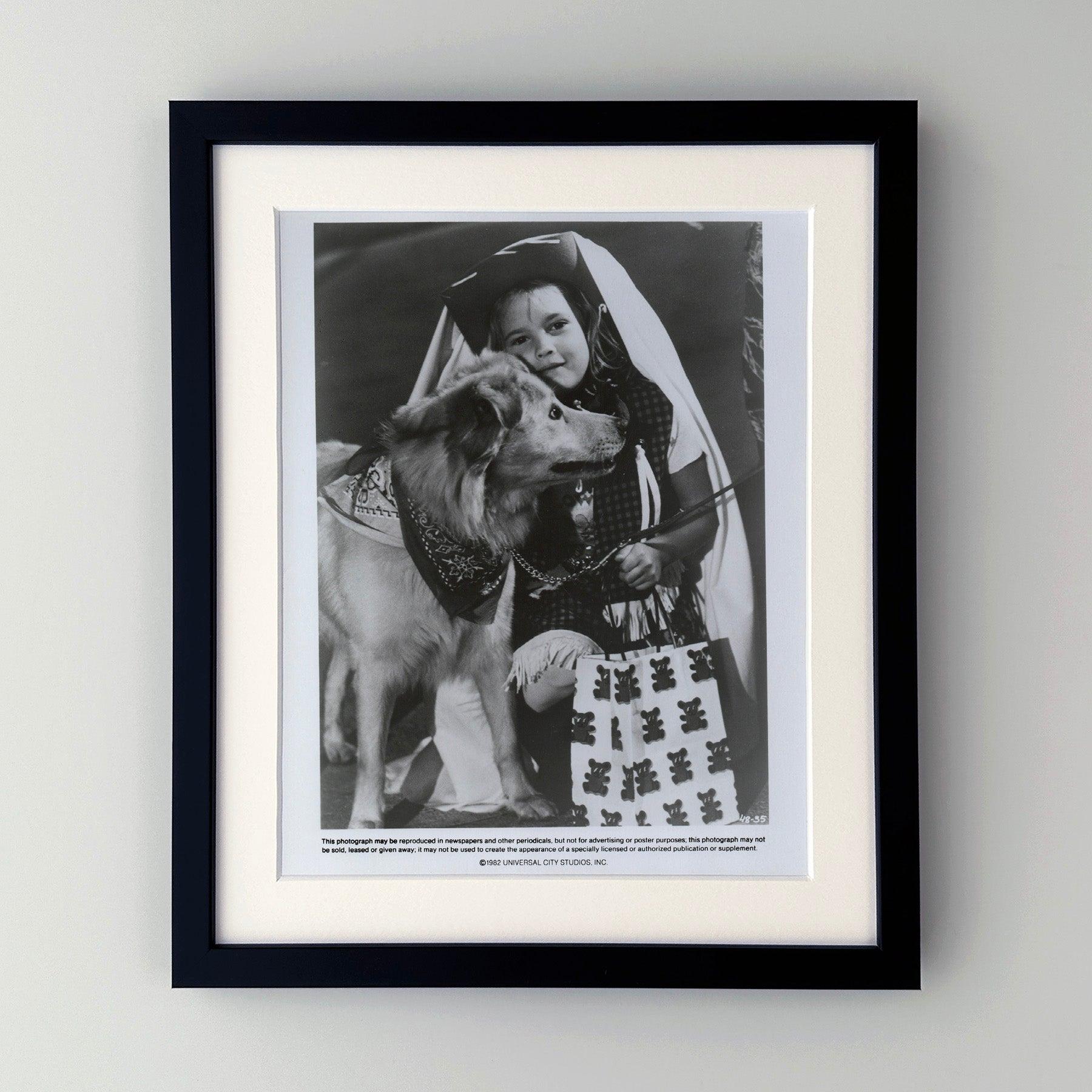 Original 8x10 Zoll Pressestill für ET (1982) mit Henry Thomas, Drew Barrymore und Peter Coyote in den Hauptrollen und unter der Regie von Steven Spielberg.

Werbefotos (Film/Produktion) wurden erstellt, um die Studios bei der Werbung für ihre neuen