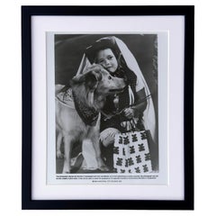 ET 1982 Press Publicity Still - Encadré