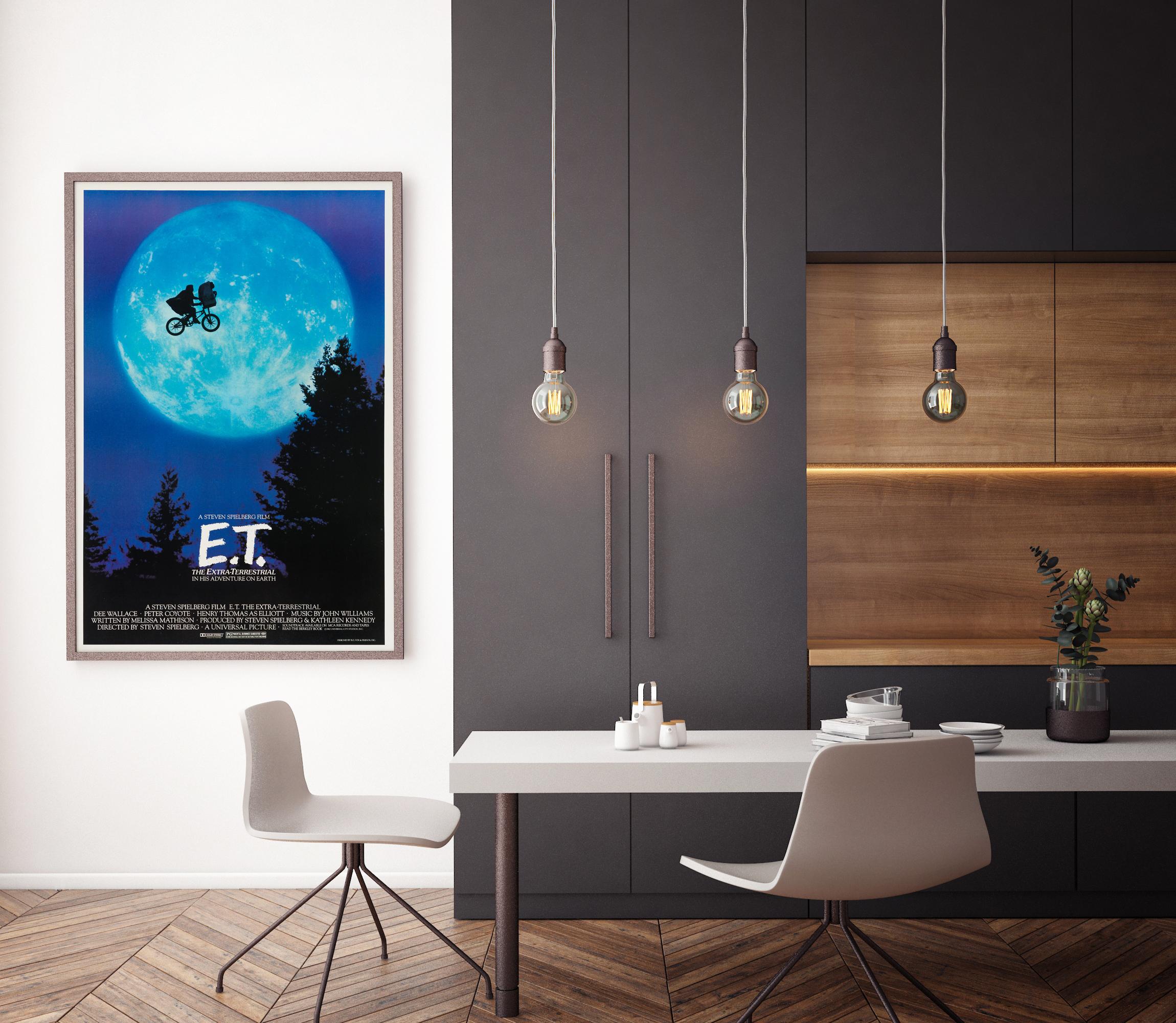 Steven Spielberg's timeless tear-jerking tale of a young boy's friendship with a stranded extra-terrestrial was both widely critically acclaimed and enormously commercially successful, outperforming 'Star Wars' to become the highest-grossing film of