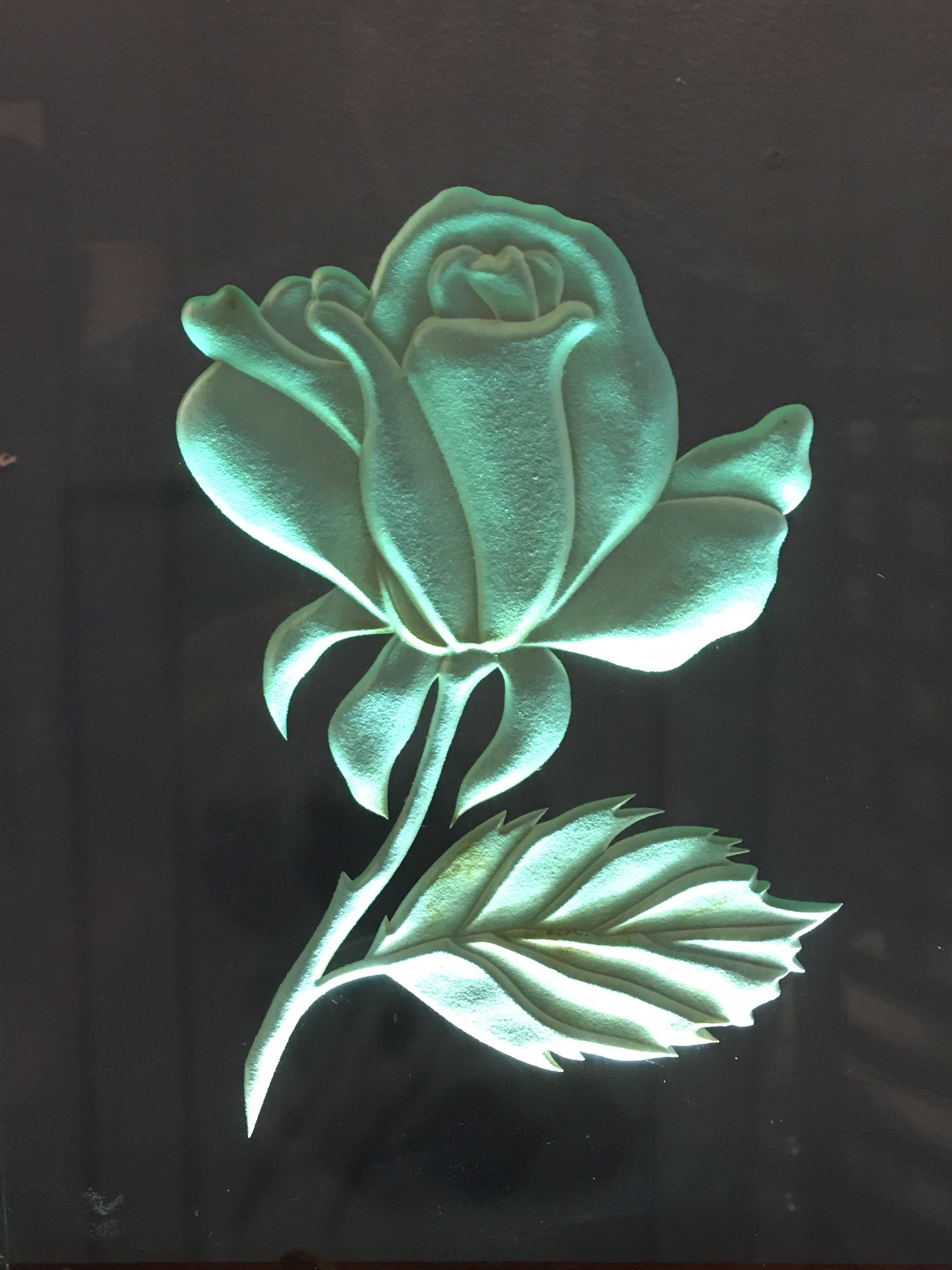 Possibly a sign from red rose coffee or tea? Have looked quite a bit but can not find an example of this light up Etched glass sign. Fluorescent light bulb in base lights up the glass. Glass has a greenish tint. Base is an early plastic shell over