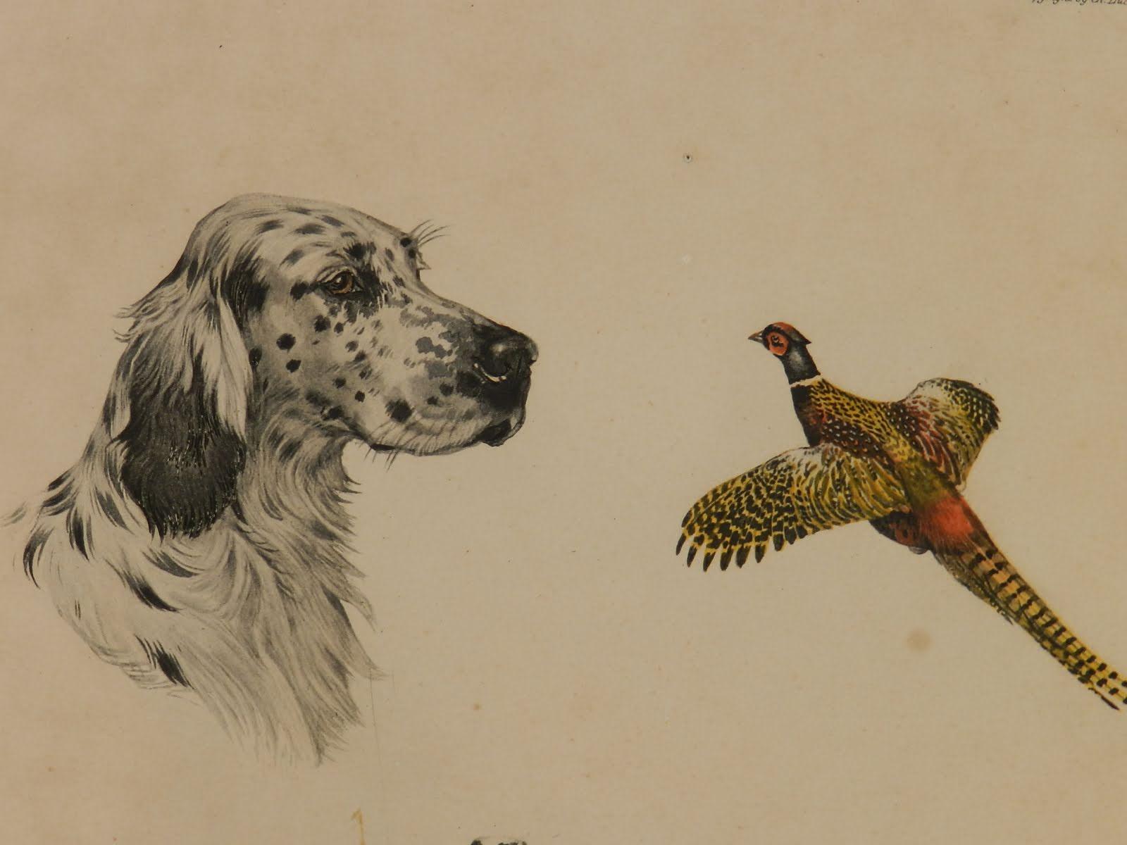 Etching Aquatint of Working Dogs and Pheasant French Boris Riab In Good Condition In Labrit, Landes
