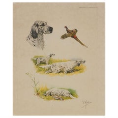 Etching Aquatint of Working Dogs and Pheasant French Boris Riab