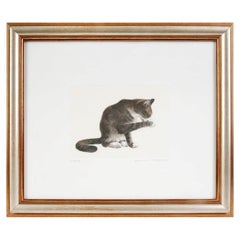 Etching "Gray Kitten", Raffaelli Gianni, Italy, Florence, 1990s