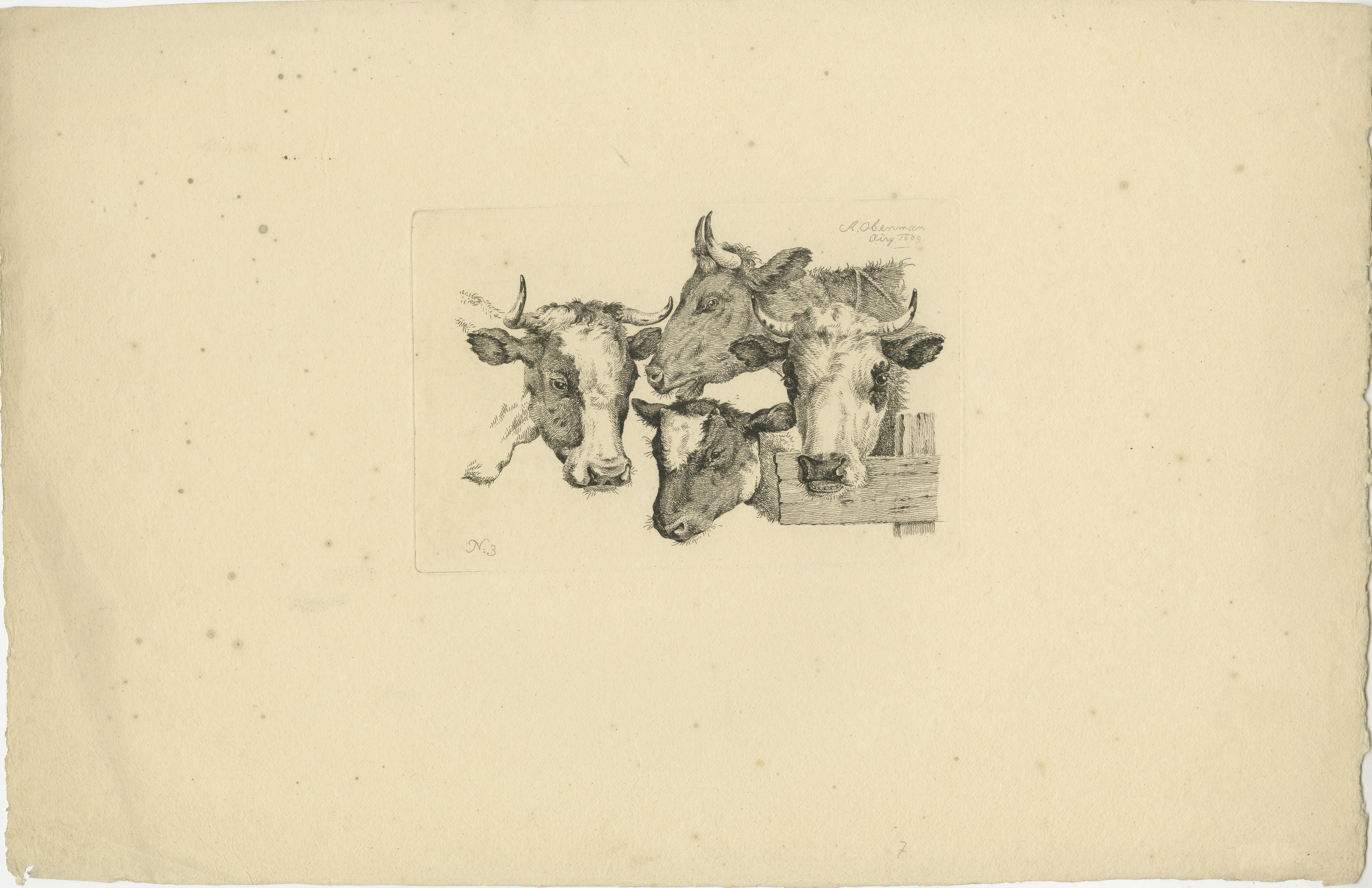 Etching of Four Cow Heads: Detailed Farm Animal Study by Oberman, 1809 In Good Condition For Sale In Langweer, NL