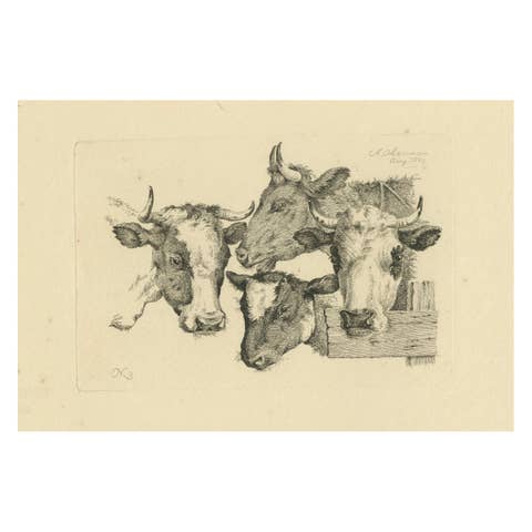 Etching of Four Cow Heads: Detailed Farm Animal Study by Oberman, 1809