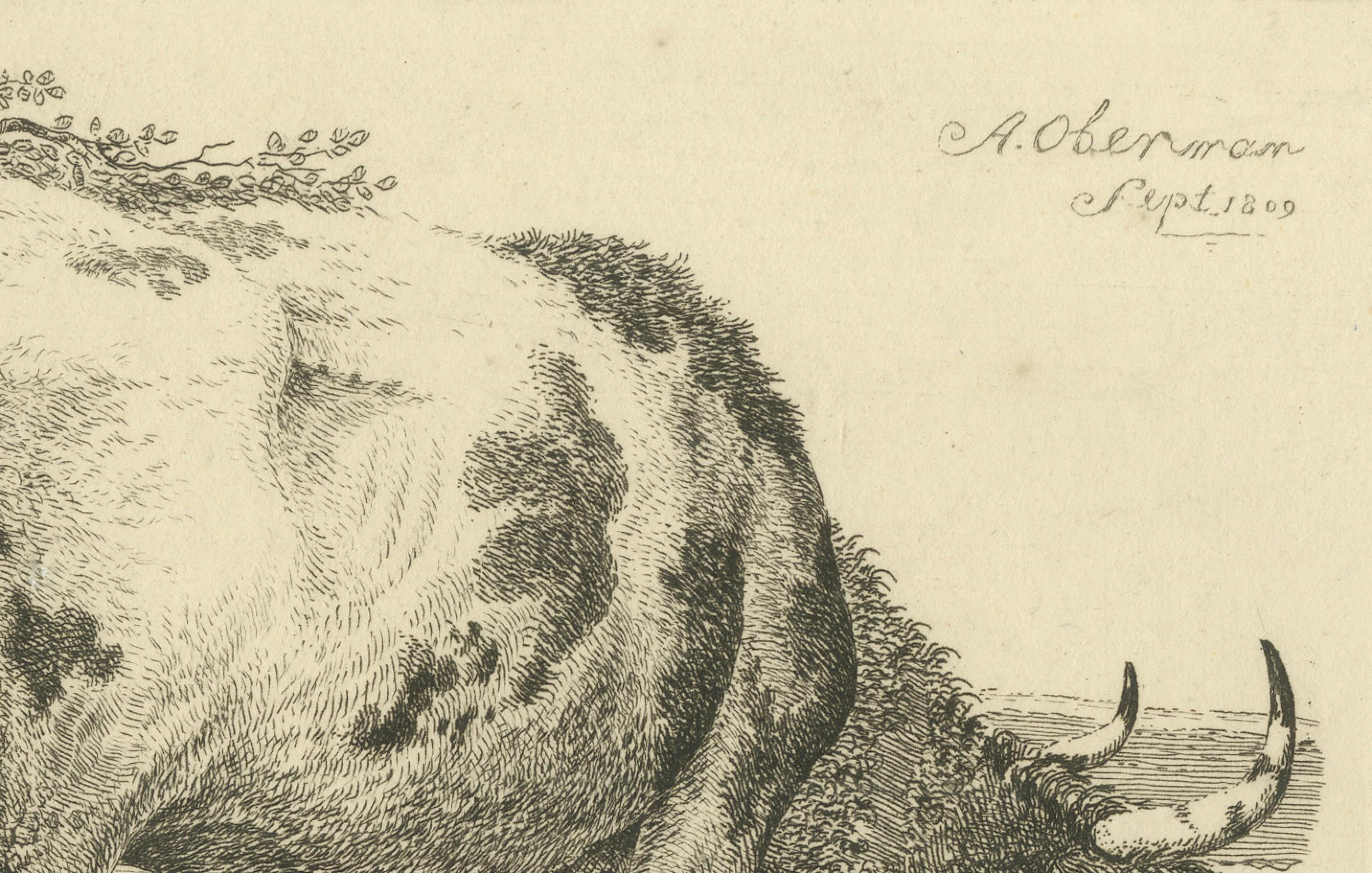 Radierung einer grasenden Kuh von Fence: Bauernsszene, hergestellt von A.Oberman im Jahr 1809 im Zustand „Gut“ im Angebot in Langweer, NL