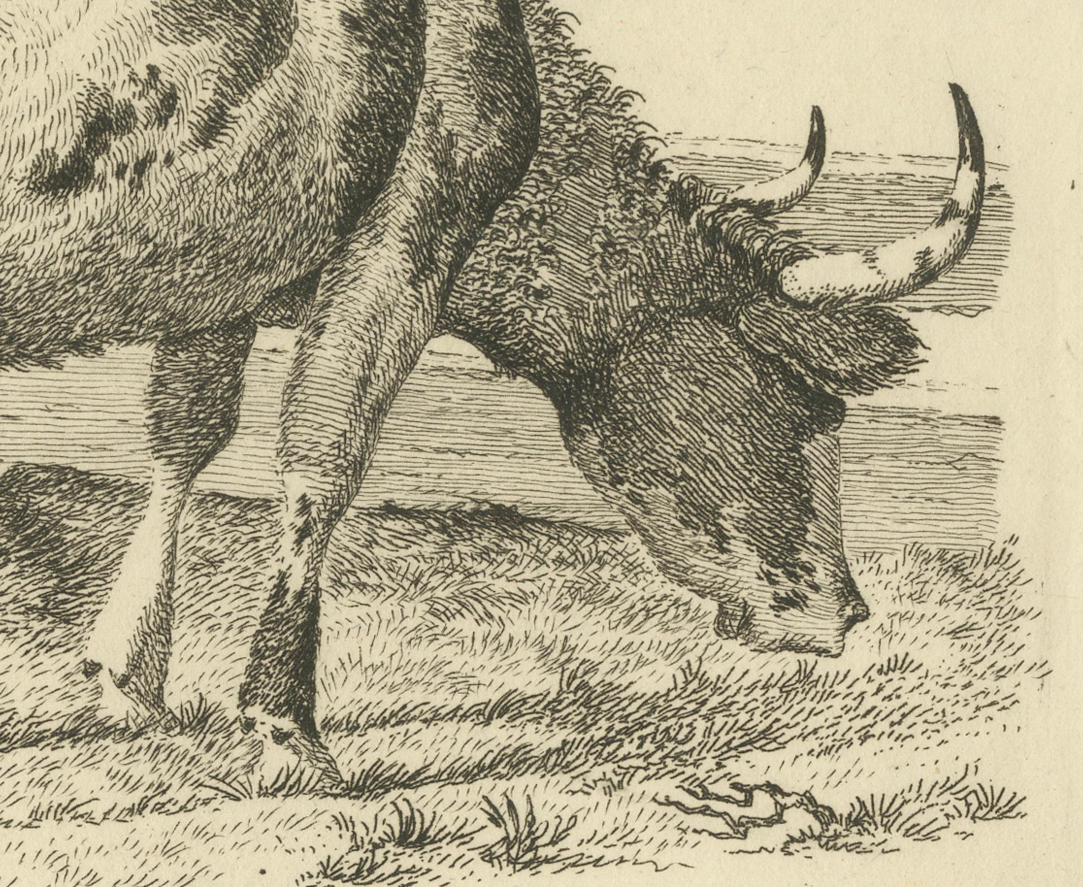 Radierung einer grasenden Kuh von Fence: Bauernsszene, hergestellt von A.Oberman im Jahr 1809 (Papier) im Angebot