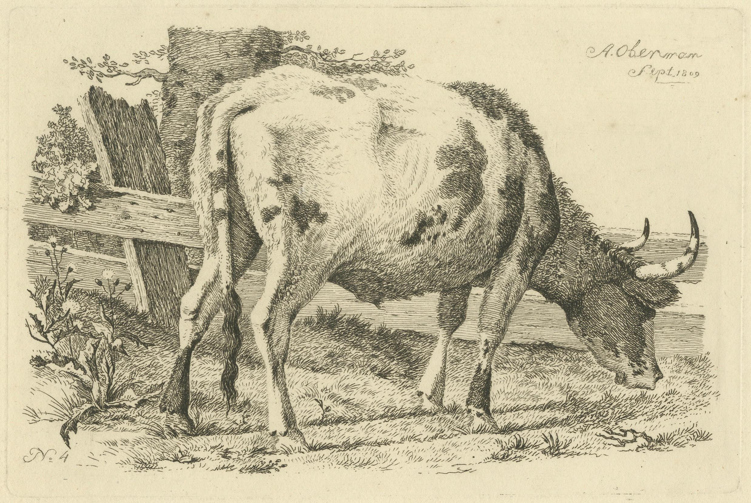 Radierung einer grasenden Kuh von Fence: Bauernsszene, hergestellt von A.Oberman im Jahr 1809 im Angebot 1
