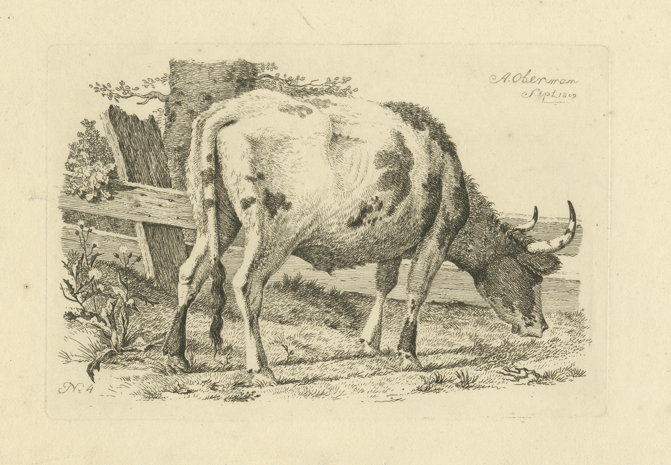 Radierung einer grasenden Kuh von Fence: Bauernsszene, hergestellt von A.Oberman im Jahr 1809 im Angebot 2