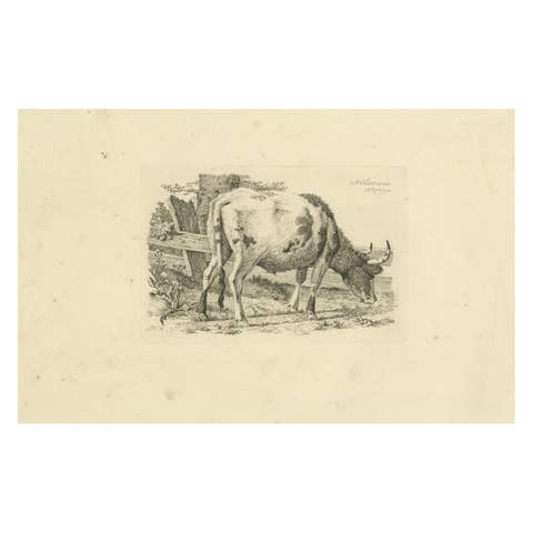 Etching of Grazing Cow by Fence: Farm Scene, Produced by A.Oberman in 1809