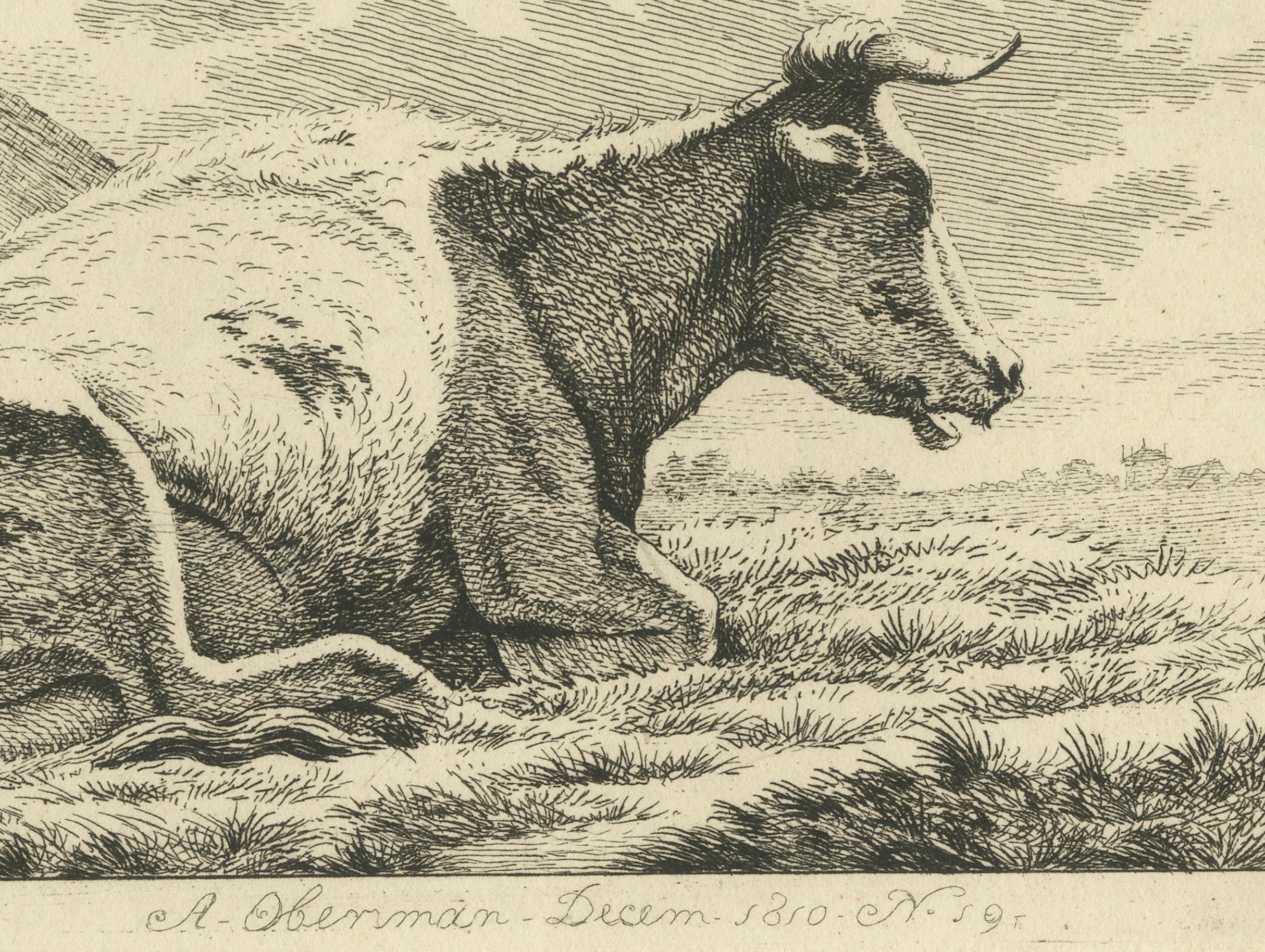 Début du XIXe siècle Gravure de vaches en position de repos : Scène rurale d'Anthony Oberman, 1810 en vente