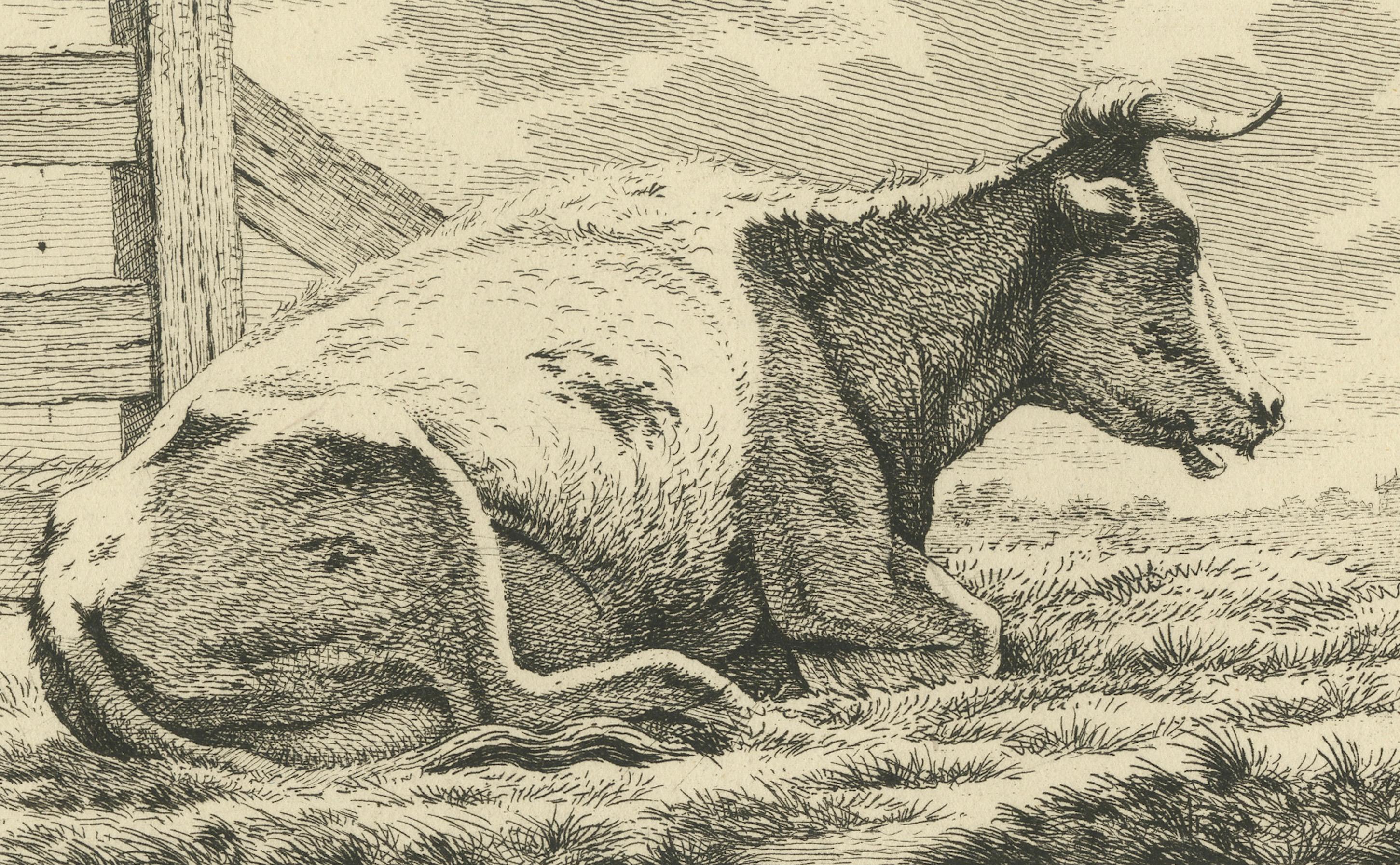 Papier Gravure de vaches en position de repos : Scène rurale d'Anthony Oberman, 1810 en vente