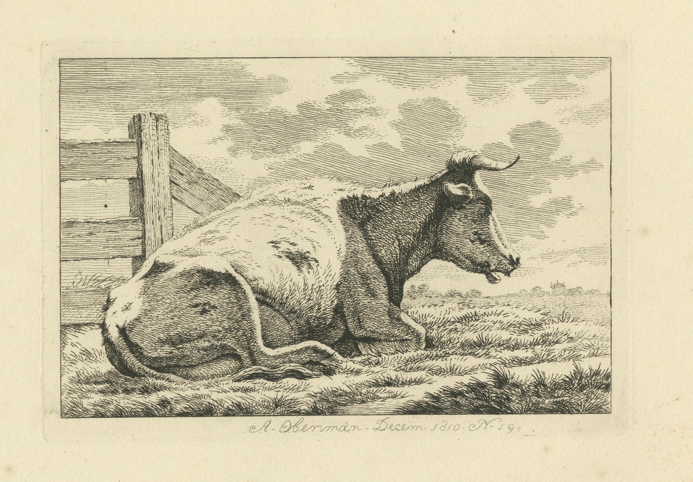 Gravure de vaches en position de repos : Scène rurale d'Anthony Oberman, 1810 en vente 1