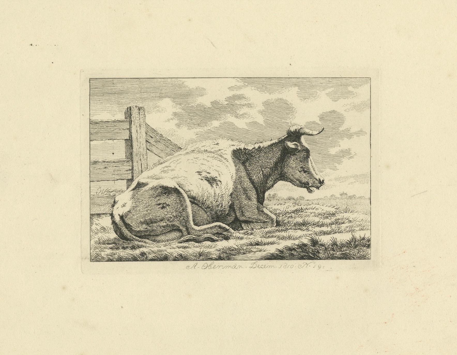 Gravure de vaches en position de repos : Scène rurale d'Anthony Oberman, 1810 en vente 2