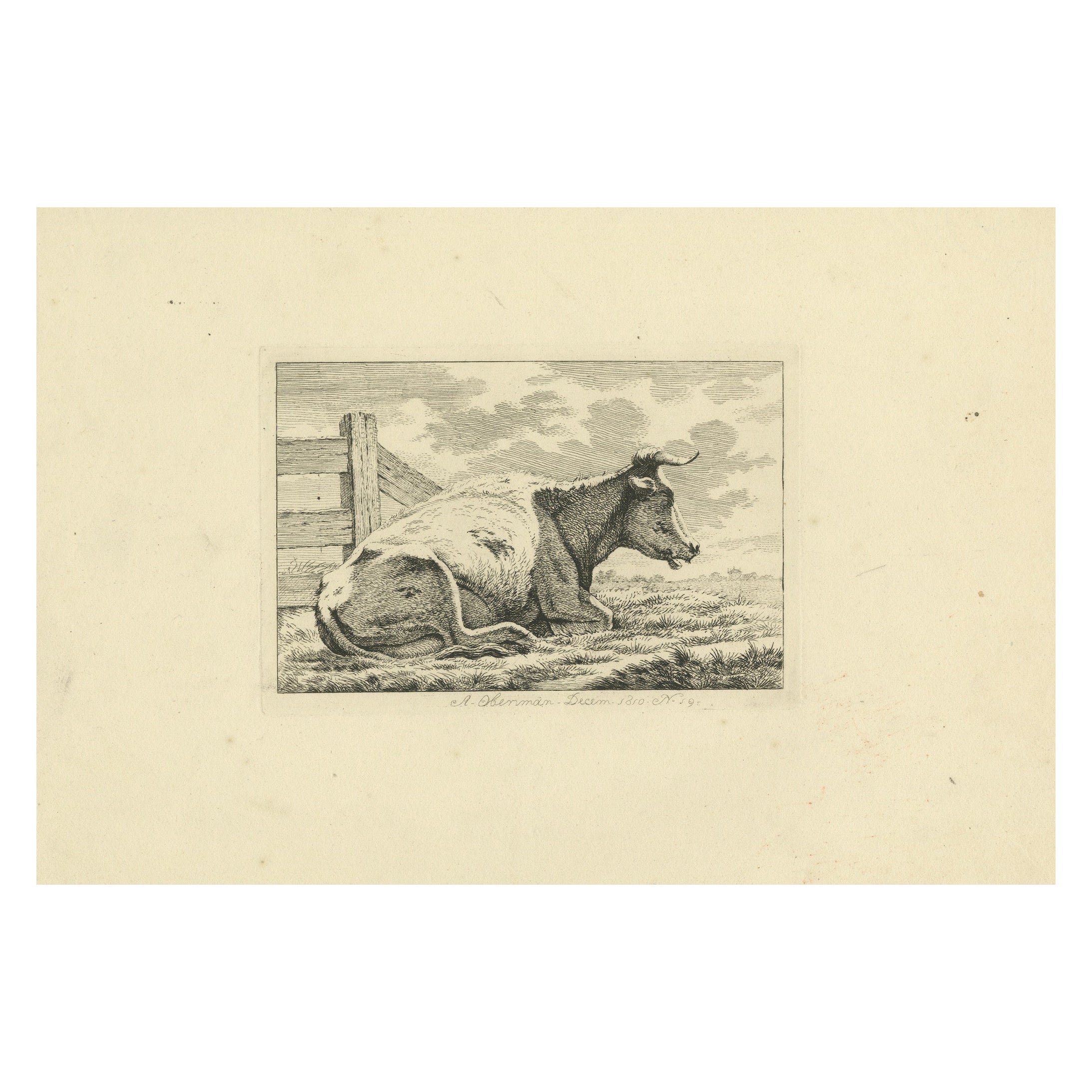 Radierung einer ruhenden Kuh von Fence: ländliche Szene von Anthony Oberman, 1810