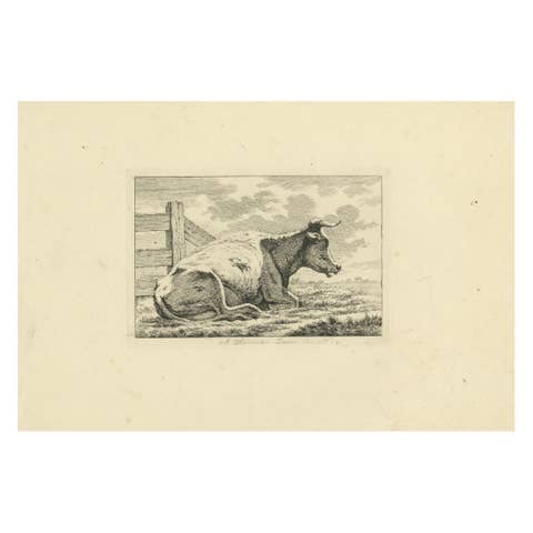 Etching of Resting Cow by Fence: Rural Scene by Anthony Oberman, 1810