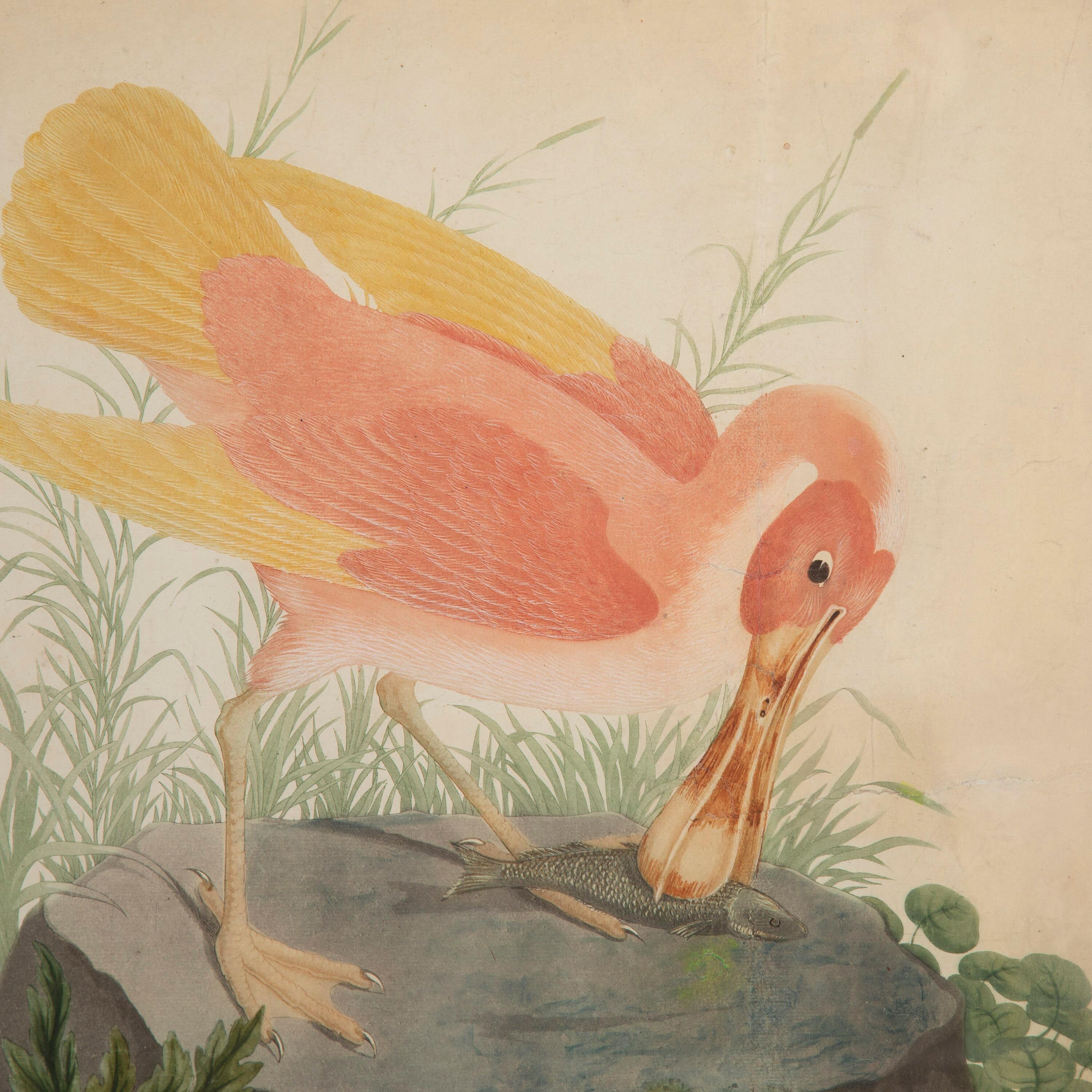 Italian Etching of Storks by Raineri