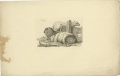 Etching of Three Sheep Resting by Fence: Farm Animal Study, by Oberman in 1810