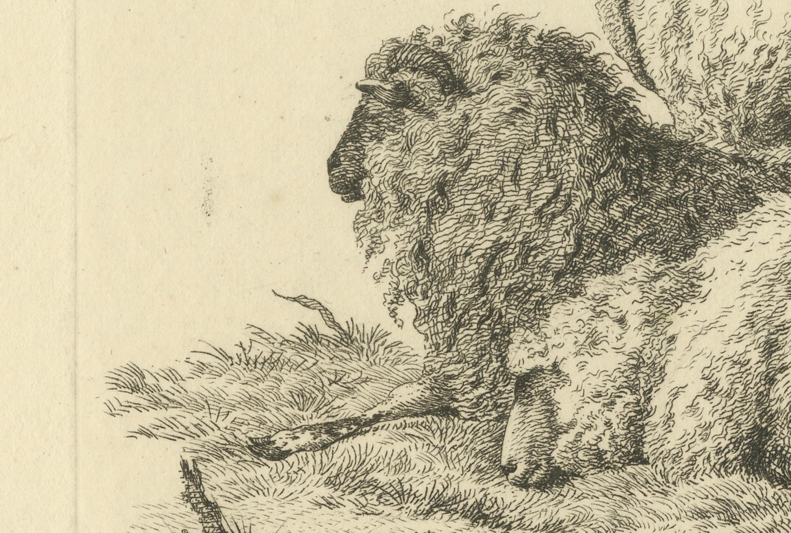 Etching of Three Sheep Resting by Fence: Farm Animal Study, by Oberman in 1810 In Good Condition For Sale In Langweer, NL