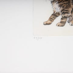 Etching "Tiger Kitten", Raffaelli Gianni, Italy, Florence, 1990s